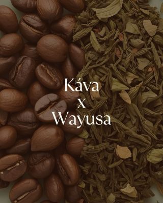 ☕️ Káva vs. Wayusa 🍃 Možná miluješ ranní kávu… ale znáš Wayusu? Amazonský nápoj bojovníků, který dodává energii jiným...