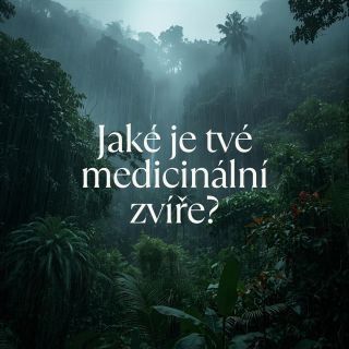 TEST- jaké je tvé MEDICINE zvíře? 🐆 Zapisuj si odpovědi- nejvíc odpovědí pak nejvíc vystihuje tvého spirita. Vyhodnocení...